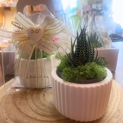 Bomboniera Con Pianta Grassa Nozze Doro